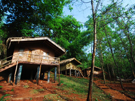 Phalguni River Lodge